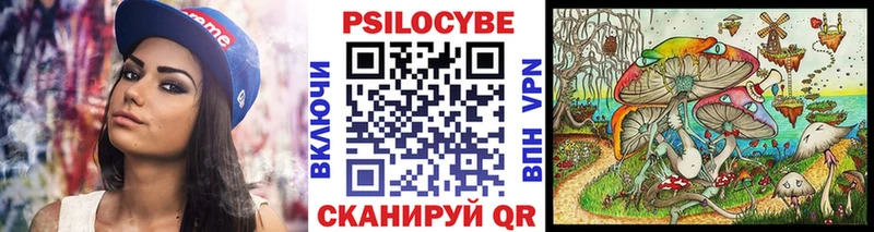 mega как зайти  Малоархангельск  Галлюциногенные грибы мицелий 